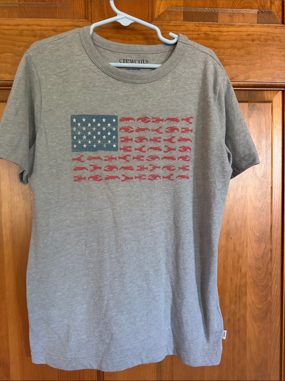 NWT J Crew Factory boys lobster flag graphic short sleeve tee, M 8-9